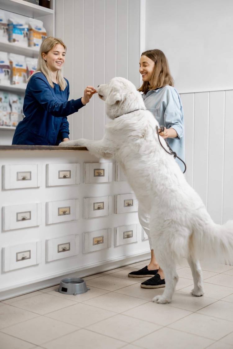 doctor with dog